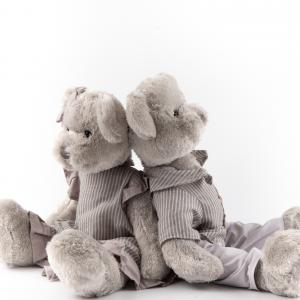 Adorable Dressed plush Teddy Bear