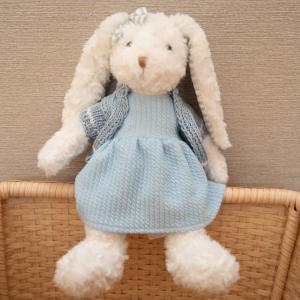 Blue Dress Rabbit