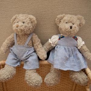 Color Clothes Skirts Couple Bears