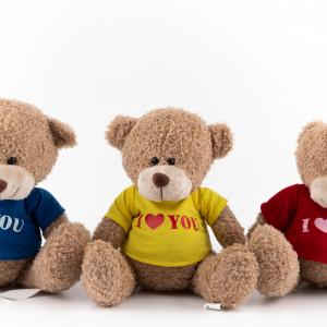 Cute Message Teddy Bear Plush, Soft & Huggable 