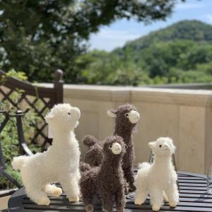 Fluffy Alpaca long Plush Toy