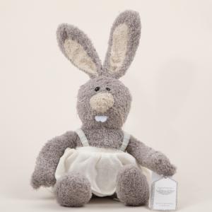 Grey Bucktooth Rabbit