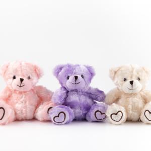 Heart-Paw Teddy Bear Plush Collection