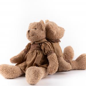 Soft & Cuddly Dressed Teddy Bear Stuffed Toys