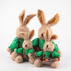 Soft Bunny Stuffed Animal with Outfit