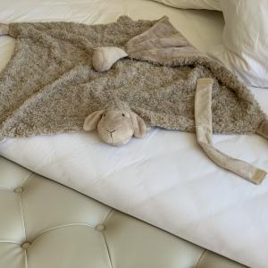 Soft sheep Lovey Plush Blanket