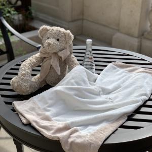 Plush Teddy Bear blanket set