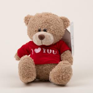 Teddy Bear in Clothes